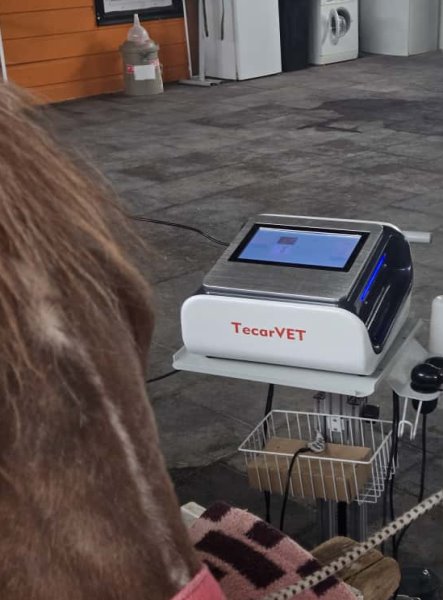 Fizik Tedavi ve Rehabilitasyon