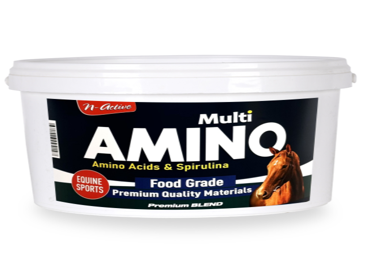 N’Active Multi Aminoasit 3 Kg